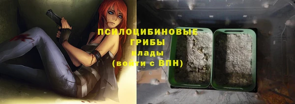 метадон Козельск