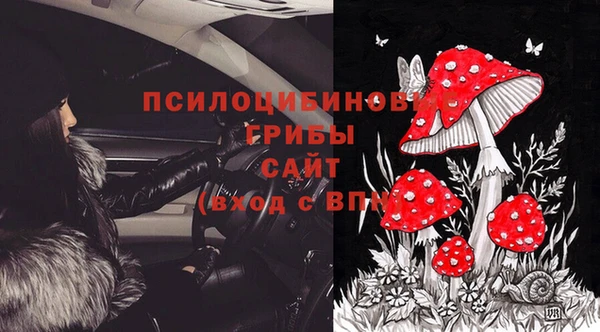 дживик Киреевск