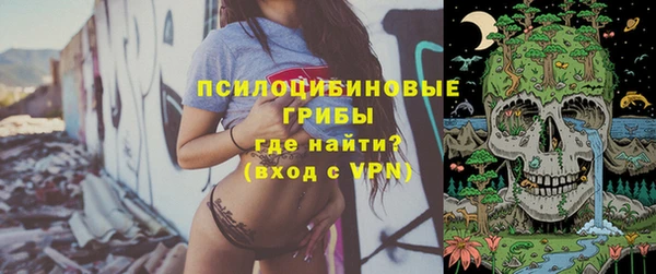 дживик Киреевск